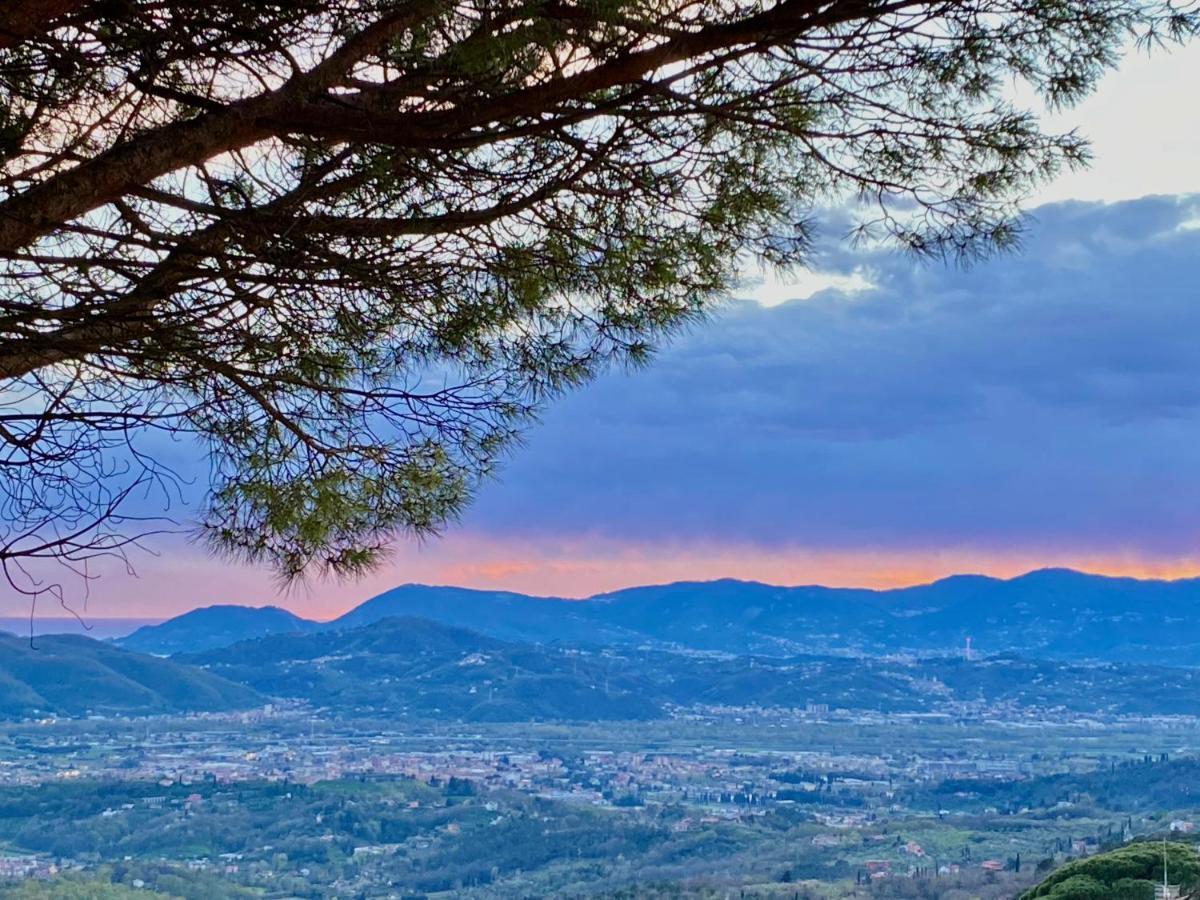 La Ginestra B&B Fosdinovo Buitenkant foto