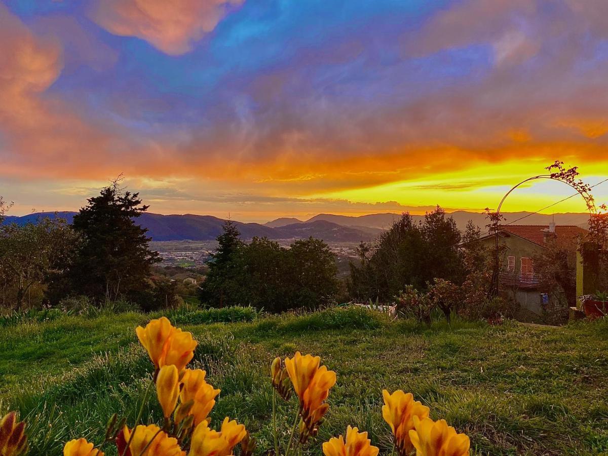 La Ginestra B&B Fosdinovo Buitenkant foto