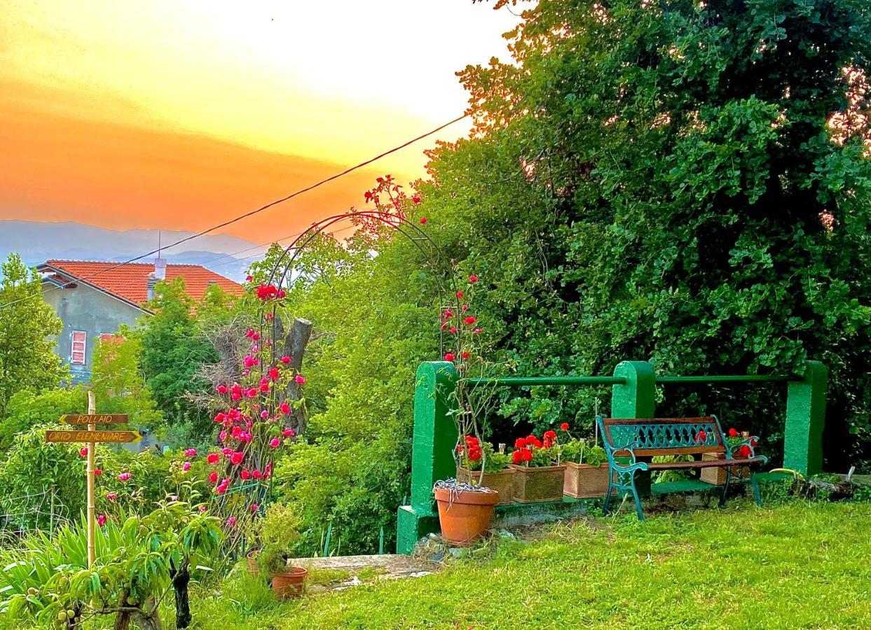 La Ginestra B&B Fosdinovo Buitenkant foto