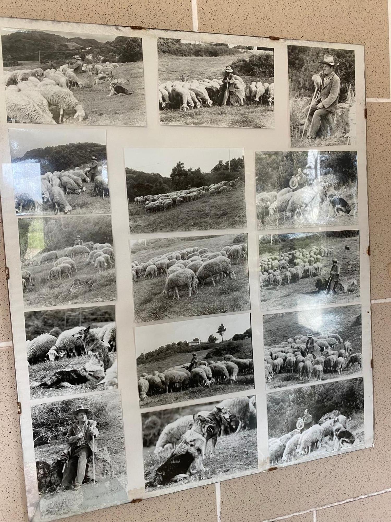 La Ginestra B&B Fosdinovo Buitenkant foto