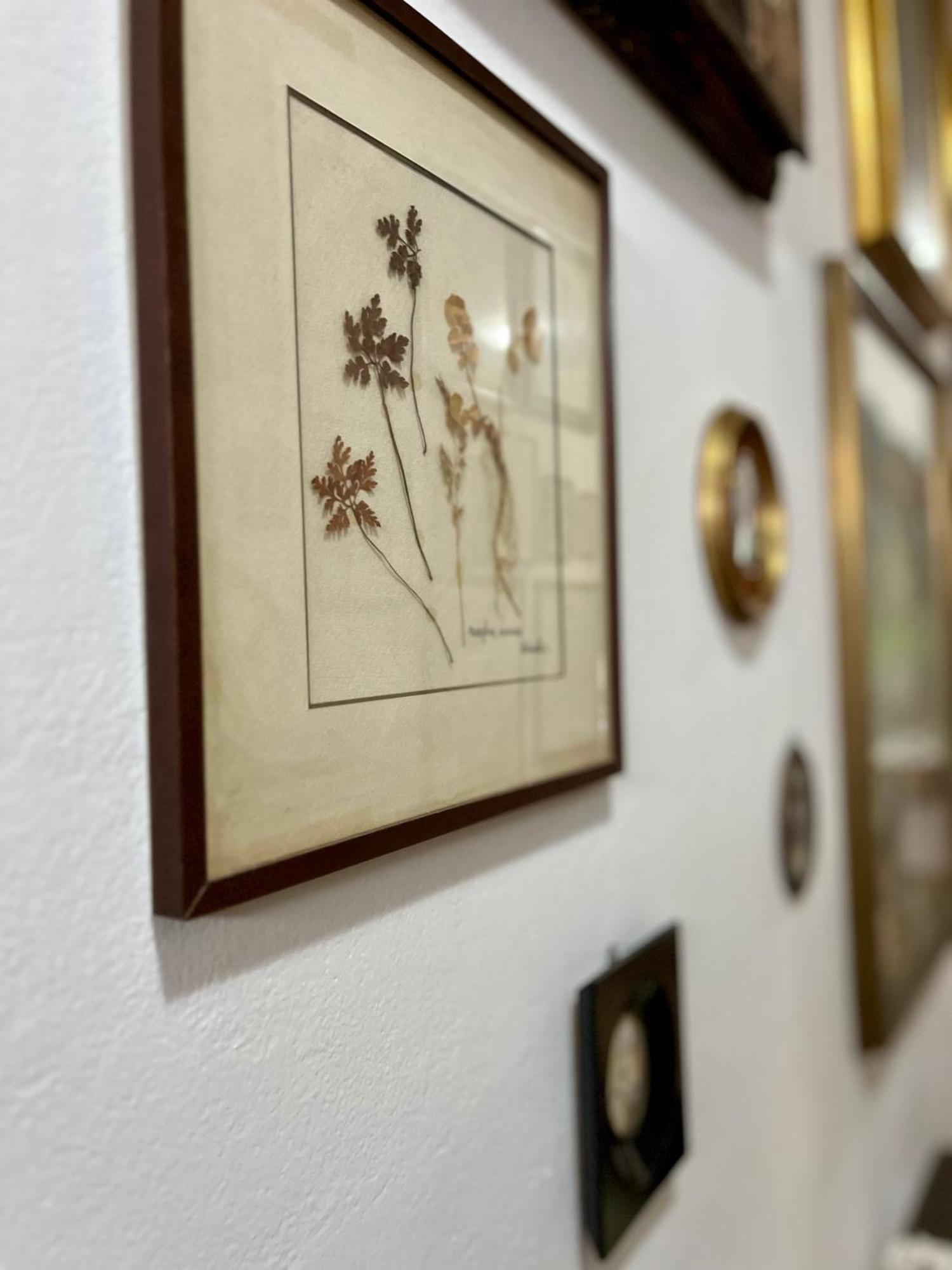 La Ginestra B&B Fosdinovo Buitenkant foto